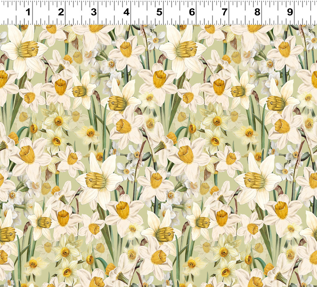 Fabric - Spring Garden Digital Daffodils - Light Olive - Katie Pertiet - Half Yard