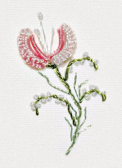 Jasmine CREAM Brazilian Embroidery Kit